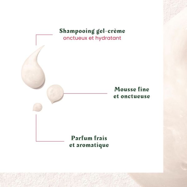 Neopur - Shampooing anti-pelliculaire - Cuir chevelu sec 150 ml